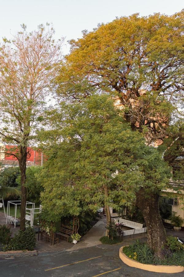 Das Heim Hotel アスンシオン エクステリア 写真