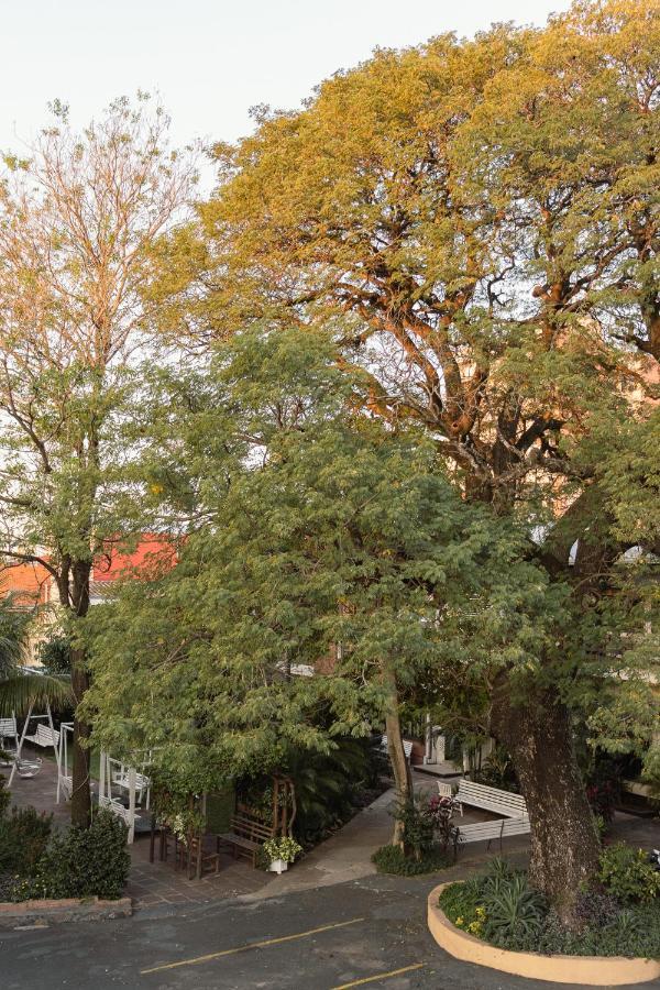 Das Heim Hotel アスンシオン エクステリア 写真
